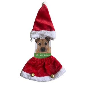 Santa Hat & Jingle Bell Collar
